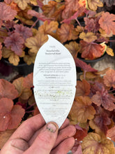 Load image into Gallery viewer, Heuchera ‘Buttered Rum’
