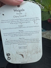 Load image into Gallery viewer, Weigela Florida Cherry Love
