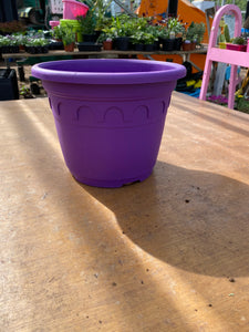 Small pot - purple
