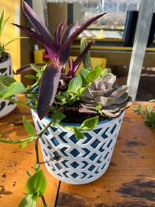 House plant pot