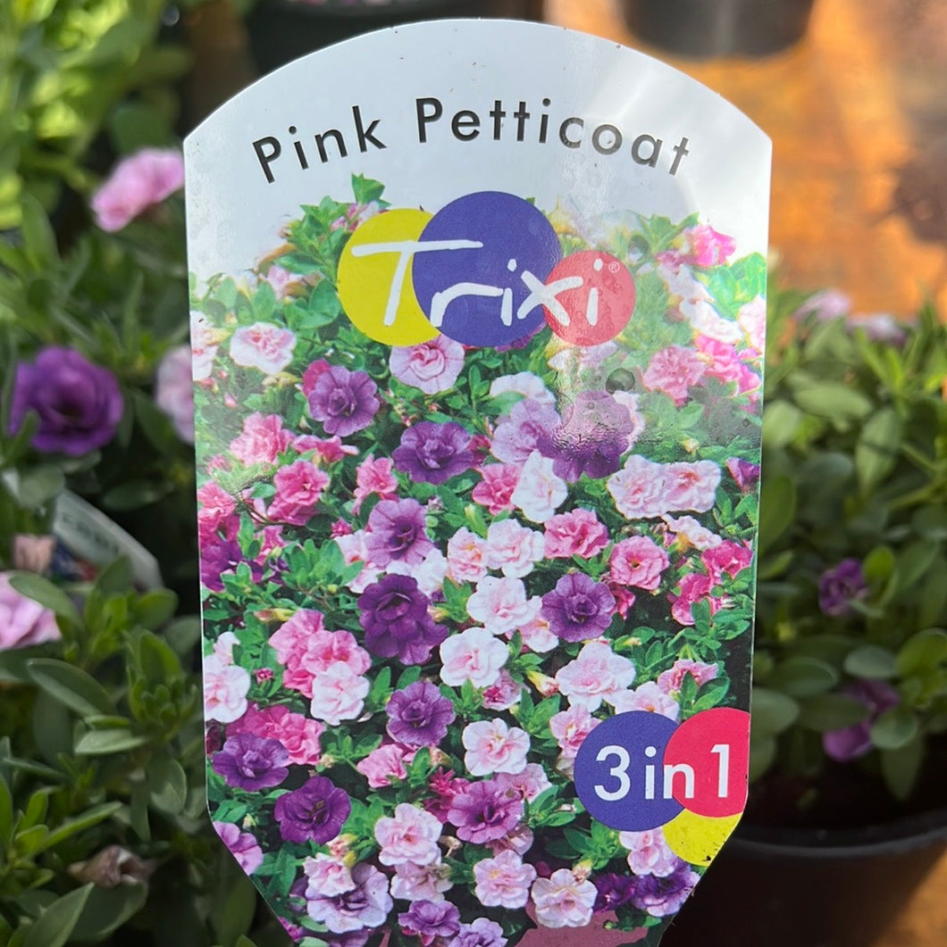 Trixi Pink Petticoat