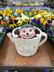Hedgehog in Cup